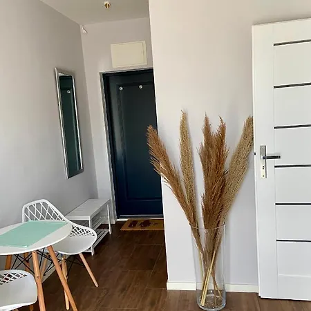 Wytworna Foczka Maison d'hôtes Sarbinowo